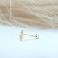 Sagittarius Zodiac Constellation Microbar - Cartilage Earrings