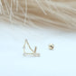 Capricorn Zodiac Constellation Microbar - Cartilage Earrings